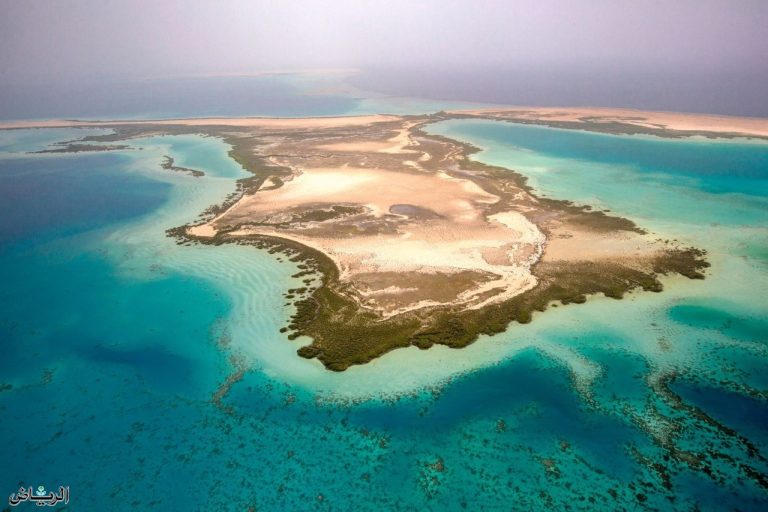 “ولينيوس فيلهلمسن” تعلق رحلاتها في البحر الاحمر