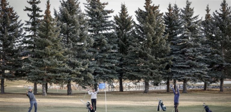 الميلاد في كندا.. “أخضر”!