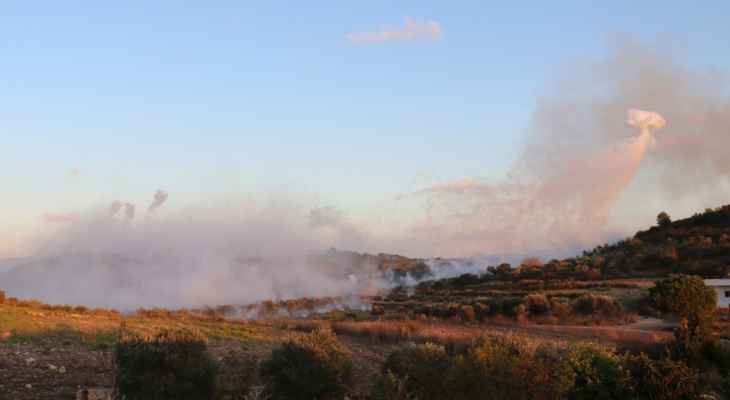 غارة للعدو بين دبل وحانين