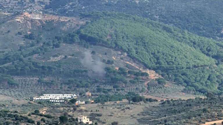 بالفيديو والصورة.. العدو يستهدف أحياء سكنية في العديسة