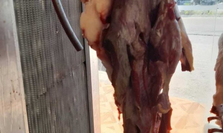 “الصحة” تقفل ملحمة في الجاهلية