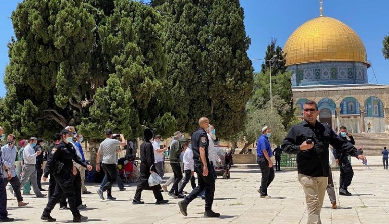 بالفيديو.. مستوطنون يقتحمون المسجد الأقصى