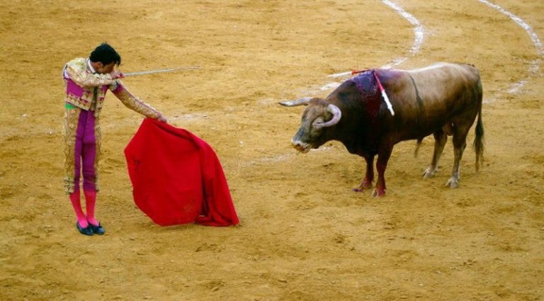بعد عام على حظرها.. مصارعة الثيران تعود في المكسيك