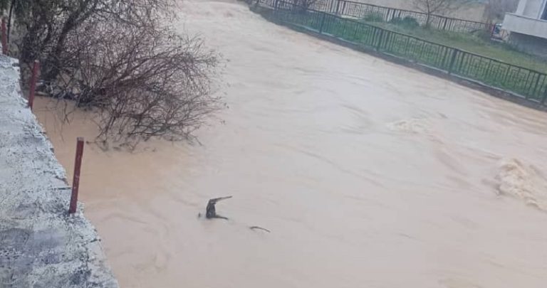 سيول في البقاع الشمالي.. وانقطاع الطريق في جزين