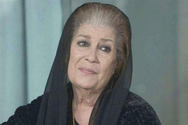 بالفيديو.. منى واصف تبكي على المسرح!