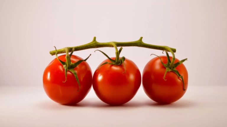 تناول البندورة يمنع إرتفاع ضغط الدم