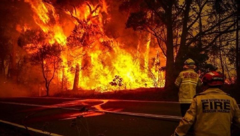 حرائق الغابات تدمر عدداً من المنازل في أستراليا