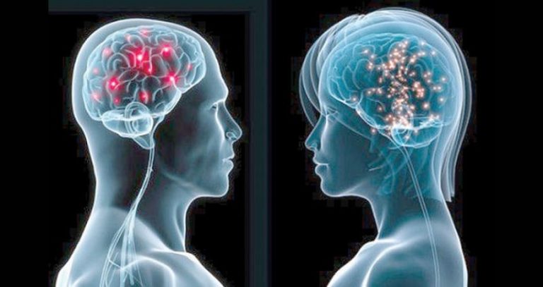 دماغ الرجل لا يشبه دماغ المرأة؟