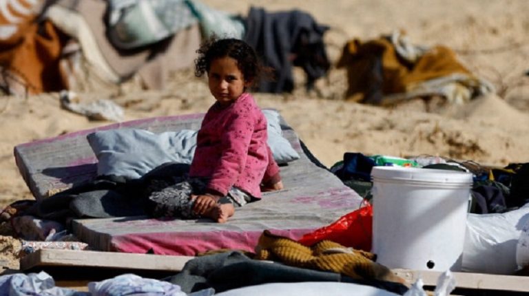 سكان شمال غزة يأكلون أعلاف الحيوانات!