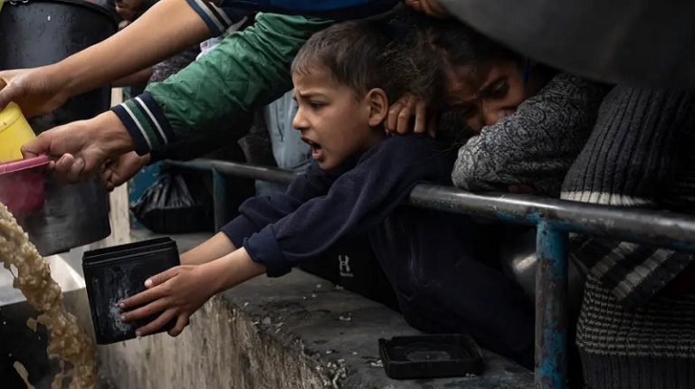 سكان غزة يعانون من سوء التغذية.. و11 مجزرة للاحتلال خلال يوم!