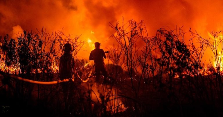 ارتفاع عدد قتلى حرائق تشيلي