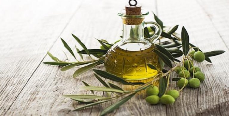 مذكّرة تعاون لتحفيز تبادل التمور وزيت الزيتون: لبنان رابح مع العراق