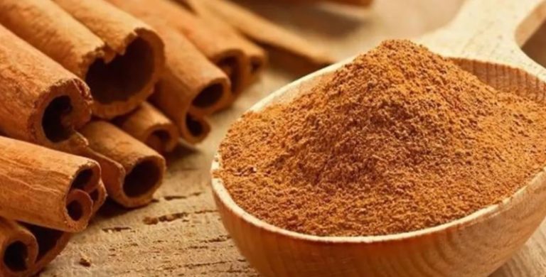 القرفة تقاوم الأمراض!