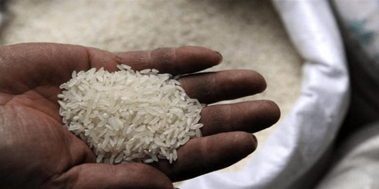“الأرز المسرطن” ما زال في السوق.. جريمة غذائية على أبواب “رمضان”!