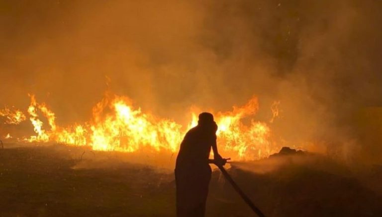 إعلام العدو: النيران تأكل كل شيء داخل مصنع “أفيفيم”! (فيديو)
