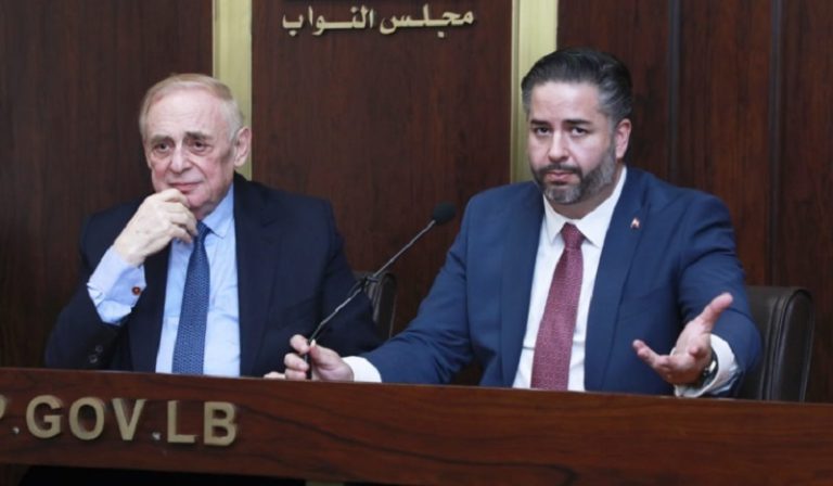 سلامة الغذاء وتطبيق القوانين على طاولة لجنة الاقتصاد