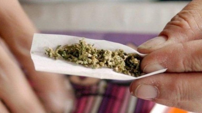 إحباط محاولة تهريب “حشيشة” في المطار