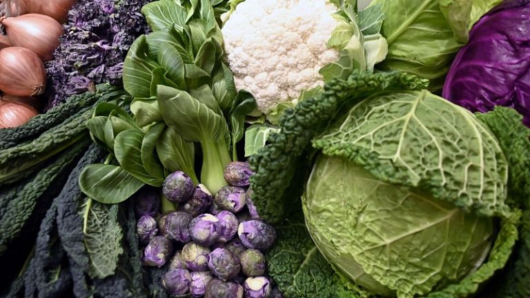 الأول من رمضان: استيراد الخُضر من سوريا ومصر