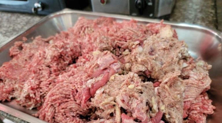 ضبط لحوم فاسدة بملحمة في صور