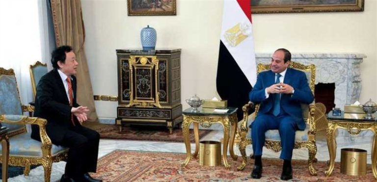 السيسي يبحث مع مدير عام “الفاو” جهود إدخال المساعدات إلى غزة