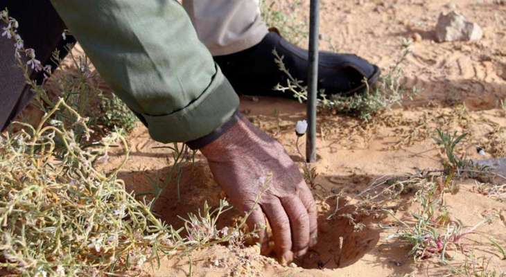 مقتل 16 شخصاً بإنفجار شمال سوريا