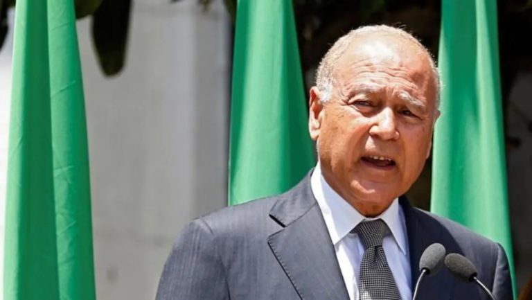 أبو الغيط: مجزرة غزة همجية