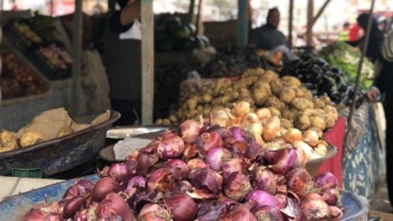 إخضاع استيراد البصل والبطاطا من مصر إلى إذن مسبق