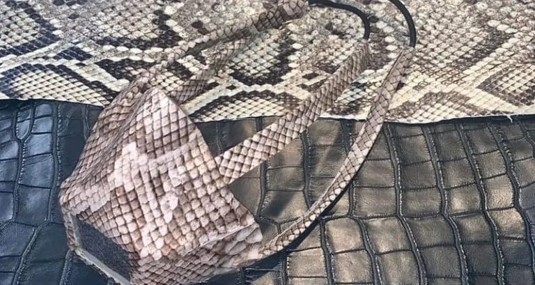 جلود الثعابين والتماسيح توصل مصممة أزياء للسجن!