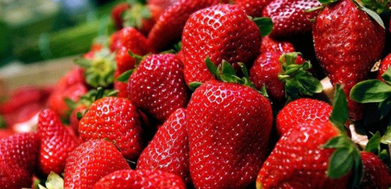 ما هي فوائد الفراولة؟