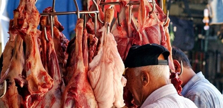 ضبط لحوم فاسدة بمستودع في صيدا.. واقفاله بالشمع الاحمر