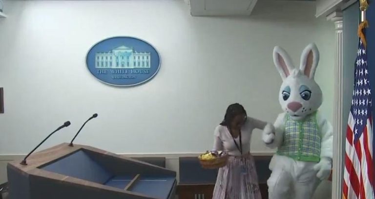 بالفيديو.. “أرنب” في البيت الأبيض!