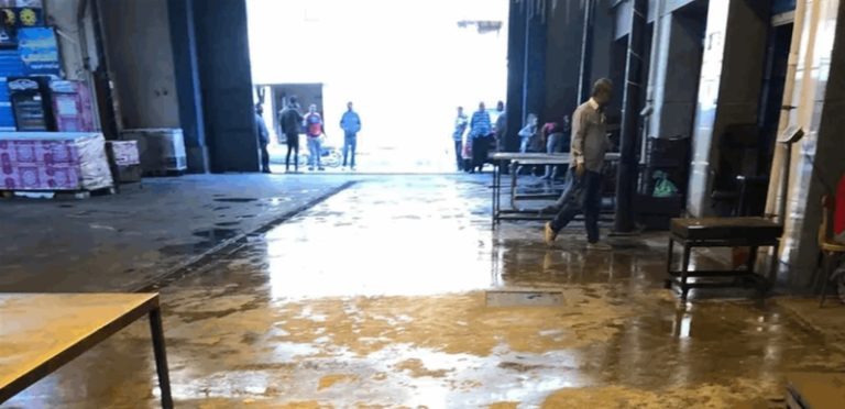 نتائج إيجابية لحملة مقاطعة الأسماك في مصر!