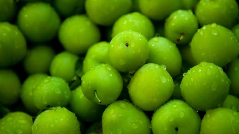 الجنارك ينقص الوزن؟