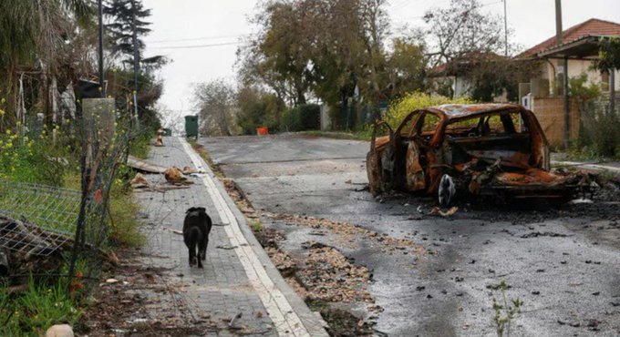 أضرار كبيرة في مستعمرة “المنارة” الصهيونية (فيديو)