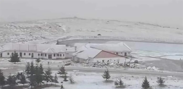 تساقط كثيف للثلوج في الجزائر!