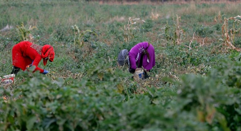 إضراب العمال السوريين: ليس هكذا يُعاد النازحون إلى بلادهم