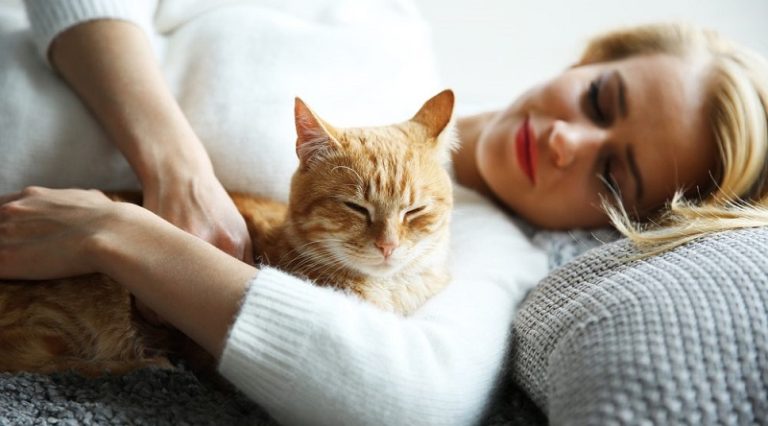 تربية القطط تضر بالصحة العقلية!