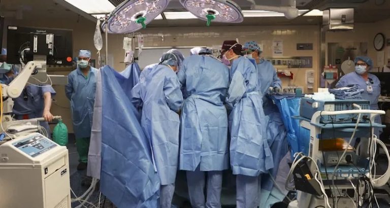 وفاة أول رجل خضع لزراعة كلية خنزير!