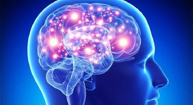 رابط مهم بين العناصر الغذائية وتباطؤ شيخوخة الدماغ!