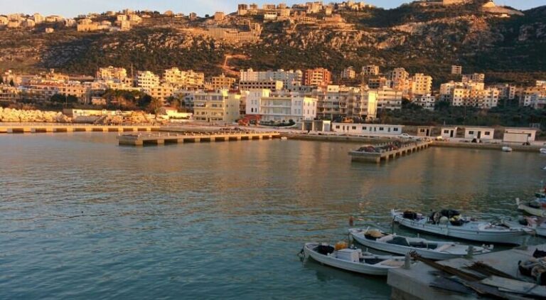 تنظيم الوجود السوري في بلدة القلمون