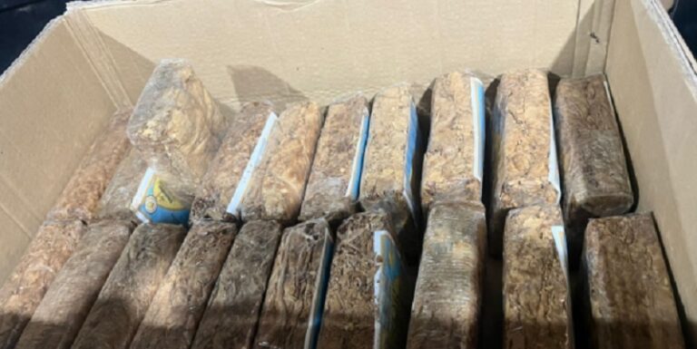 “الريجي” تضبط منتجات تبغية مهرّبة ومزورة في بعلبك