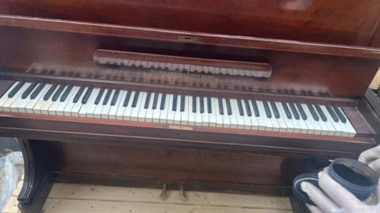 قوى الأمن تحبط عملية تهريب “حشيشة” في “بيانو”