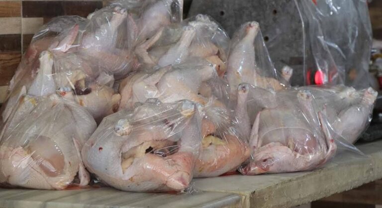 محضر ضبط بحق صاحب محل دجاج في رومين