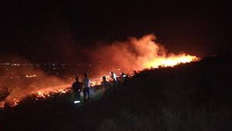 حريق بين المنصوري ومجدل زون