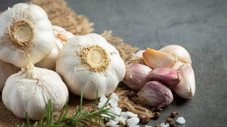 حبة ثوم يومياً تقوي المناعة ضد الأمراض!