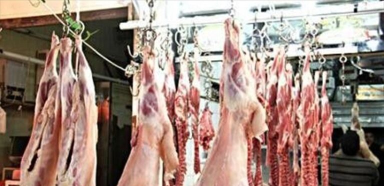 بالصور ـ ضبط بحق ملحمة في صور!