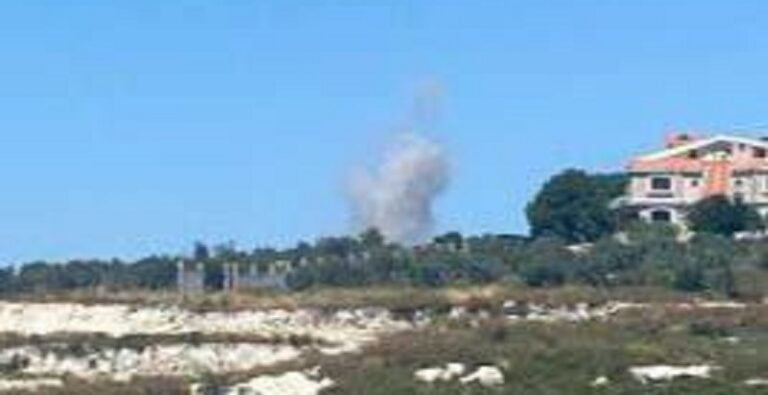 شهيدان باستهداف سيارة في صور