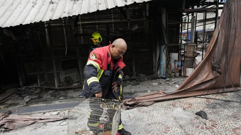 نفوق مئات الحيوانات بحريق في تايلاند (فيديو)