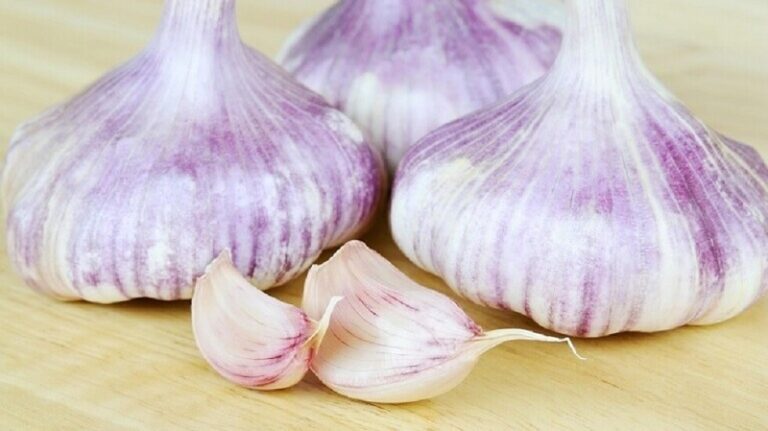 الثوم يعزز من جهاز المناعة؟