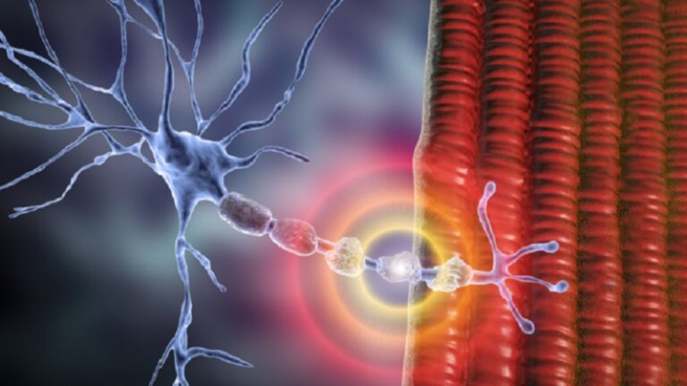 مواليد الربيع أكثر عرضة للإصابة بالتصلب المتعدد!